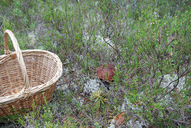 Similar image 21645059