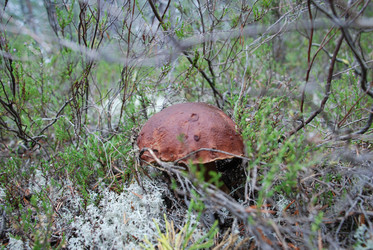 Similar image 21645060