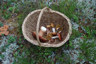 Similar image 21645062