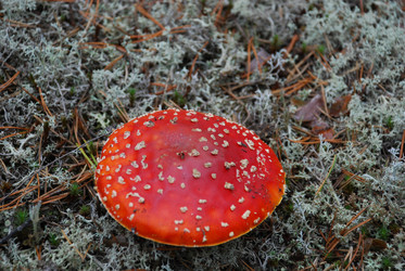 Similar image 21645063