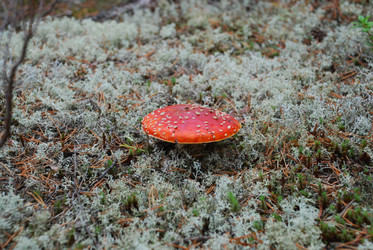 Similar image 21645064