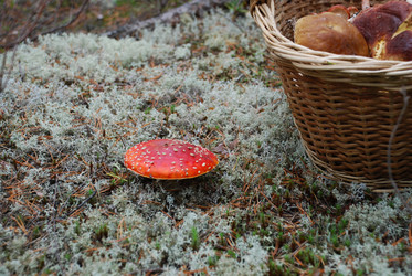 Similar image 21645065