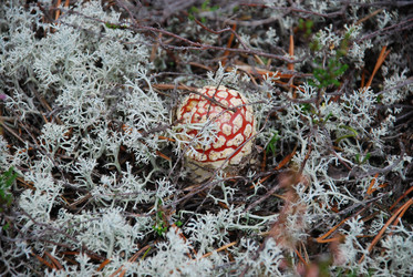 Similar image 21645067