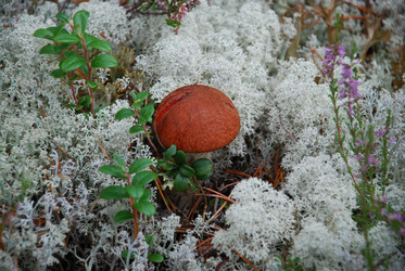 Similar image 21645070