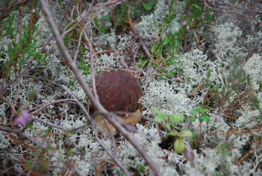 Similar image 21645071