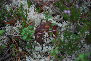 Similar image 21645072