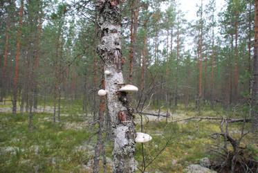 Similar image 21645073