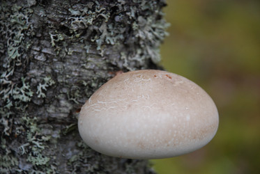 Similar image 21645074