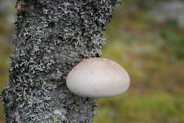 Similar image 21645076