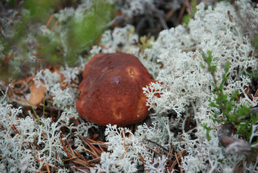 Similar image 21645077