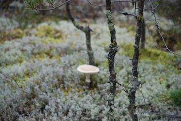 Similar image 21645078