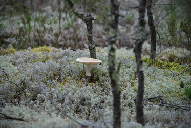 Similar image 21645079