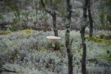 Similar image 21645080