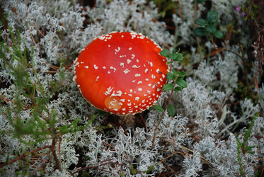 Similar image 21645083