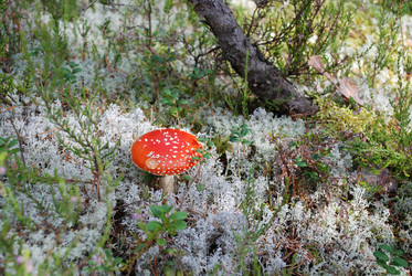 Similar image 21645085