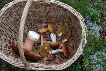 Similar image 21645086