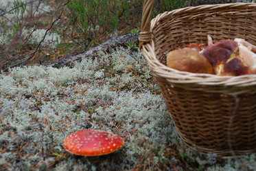 Similar image 21645087