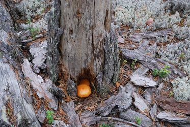 Similar image 21645088