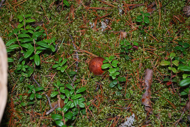 Similar image 21645090