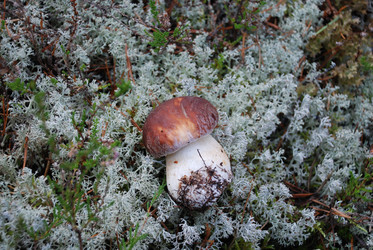 Similar image 21645092