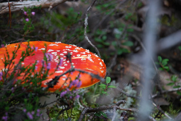 Similar image 21645093