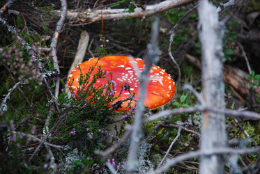 Similar image 21645094