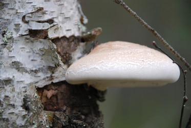 Similar image 21645096