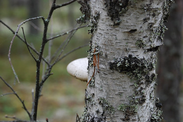 Similar image 21645098