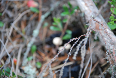 Similar image 21645099