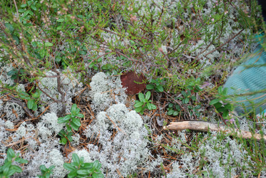 Similar image 21645100