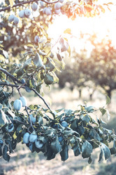 Similar image 21647713