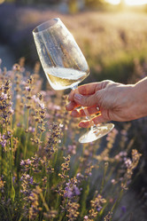 Similar image 21647730