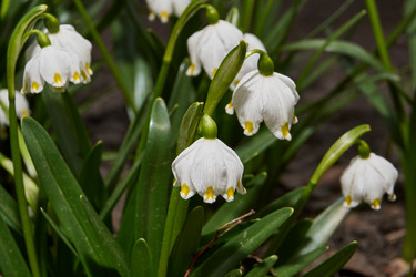 Similar image 21645491