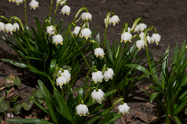 Similar image 21645496