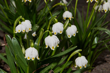 Similar image 21645499