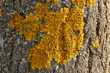 Similar image 21645512