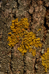 Similar image 21645513