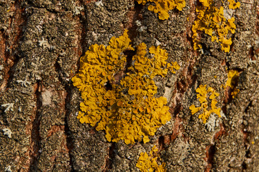 Similar image 21645515