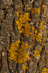 Similar image 21645516