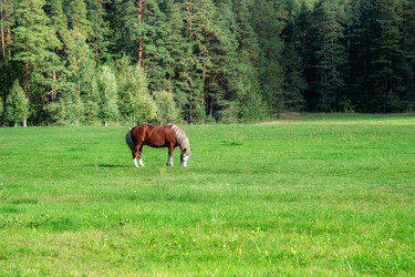 Similar image 21645517