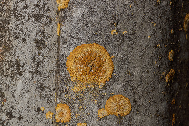 Similar image 21645659