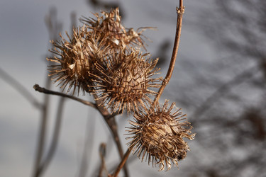 Similar image 21645660