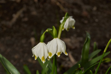 Similar image 21645661