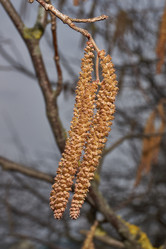 Similar image 21645669