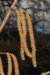 Similar image 21645671