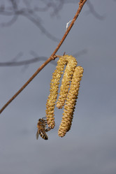 Similar image 21645677