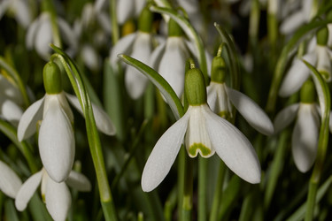 Similar image 21645678