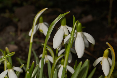 Similar image 21645682