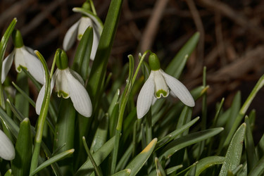 Similar image 21645684