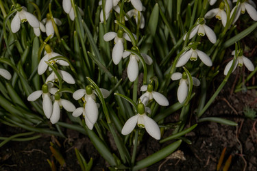 Similar image 21645685